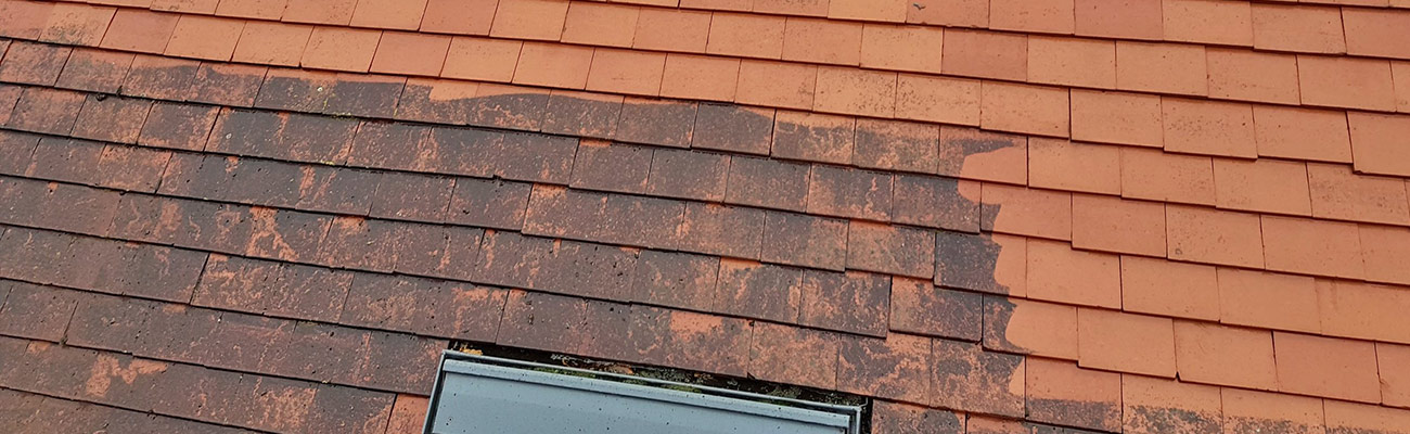 Nettoyage et demoussage de toiture à Enghien-les-Bains (95880) dans le Val d'Oise 95