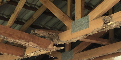 Traitement de charpente à Enghien-les-Bains (95880) dans le Val d'Oise 95